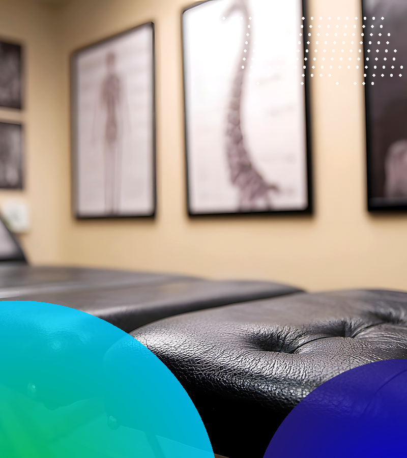 Chiropractic Table Palette B Emulent Emulent