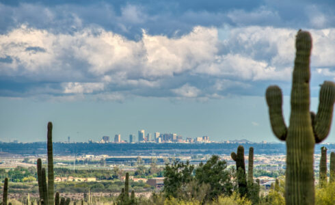5 Unique Consumer Behavior Trends Every Business in Phoenix Should Know scaled