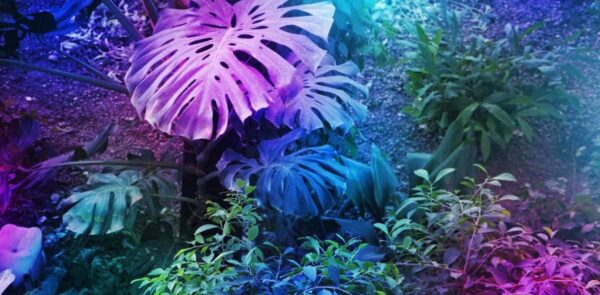 Comprehensive Marketing Plan For a Plant Nursery