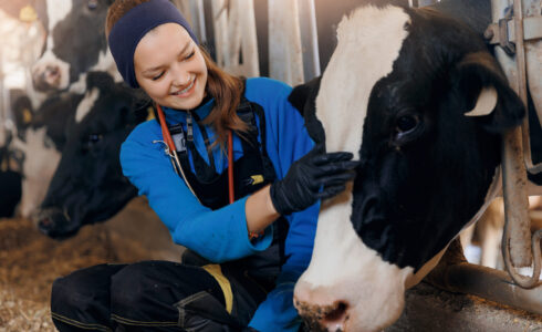 Local SEO and Google Maps Strategies For Animal Health Veterinary Biopharma Firms scaled