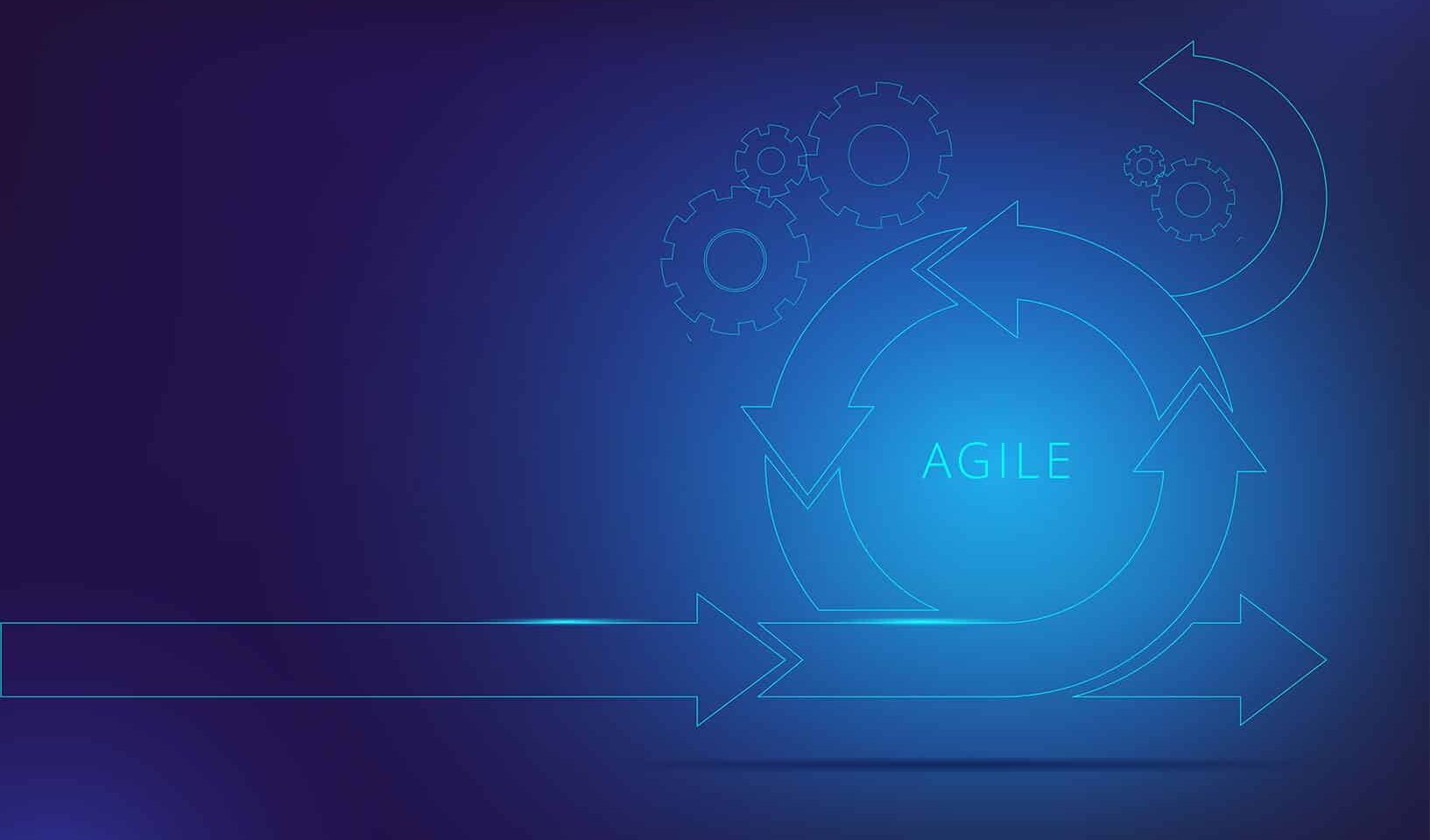 Maximizing Digital Agility