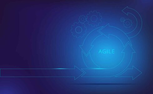 Maximizing Digital Agility