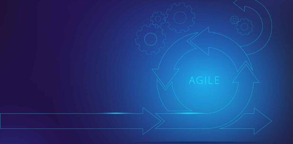 Maximizing Digital Agility