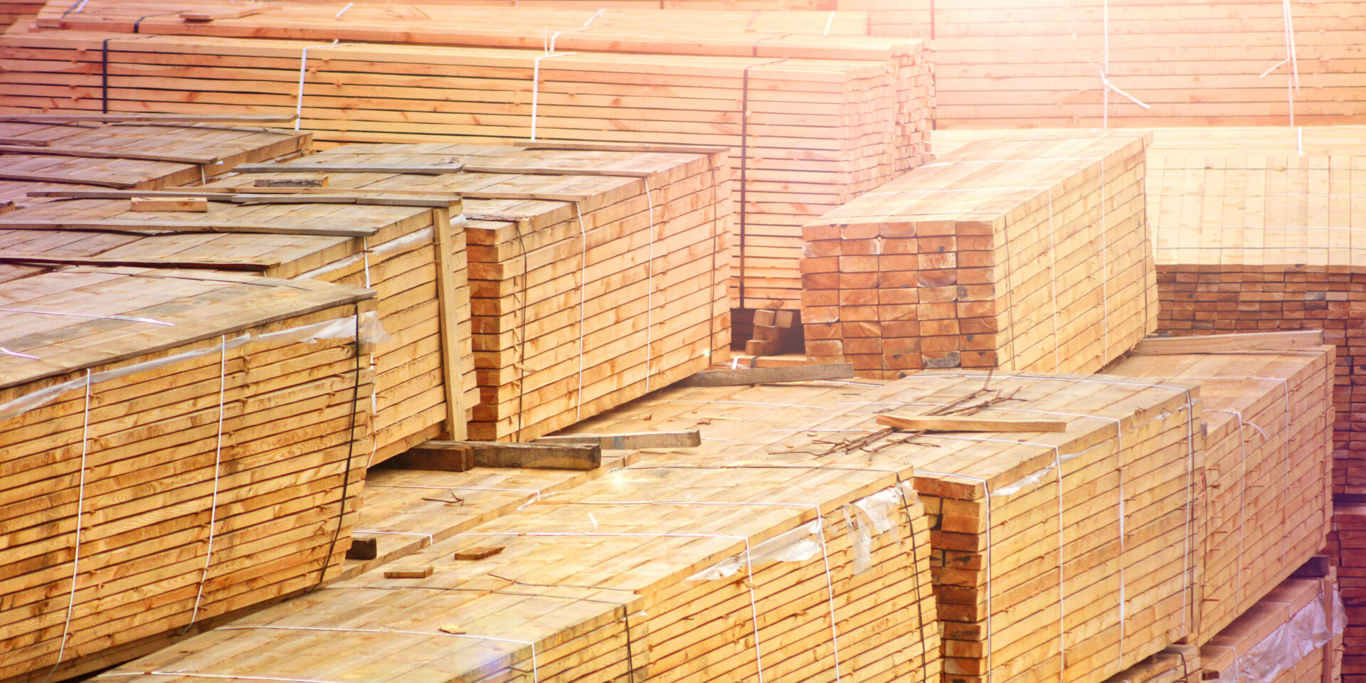 Seasonal Campaign Ideas For Lumber Companies scaled