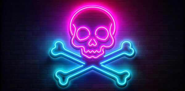 google pirate update